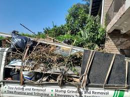 Best Attic Cleanout  in Thomasville, GA